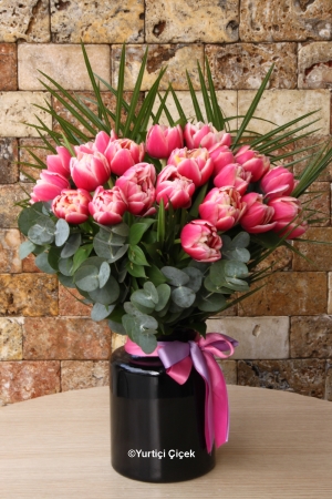 Tulip in Vase Series 2